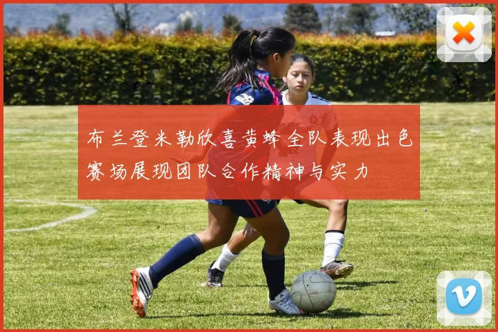 布兰登米勒欣喜黄蜂全队表现出色赛场展现团队合作精神与实力